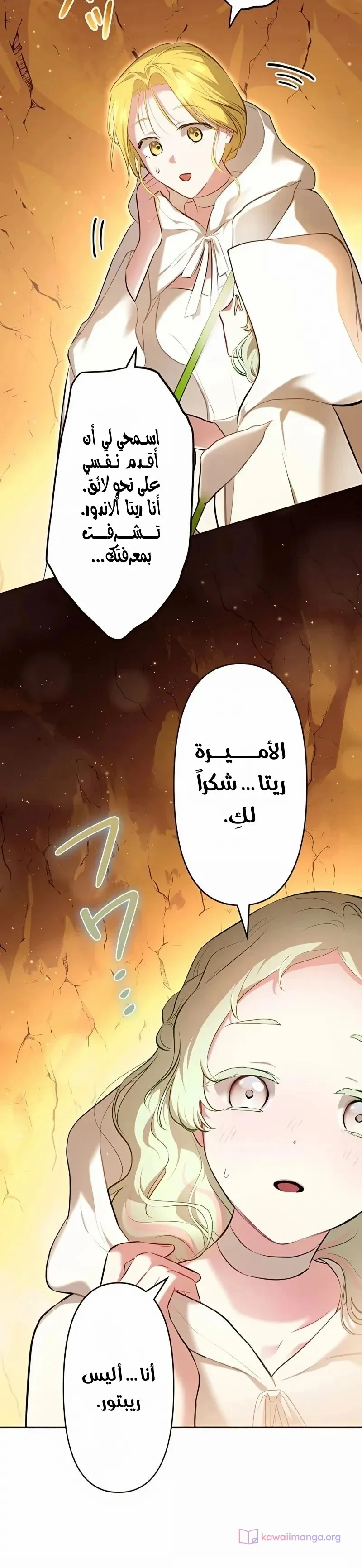 الصفحة 22