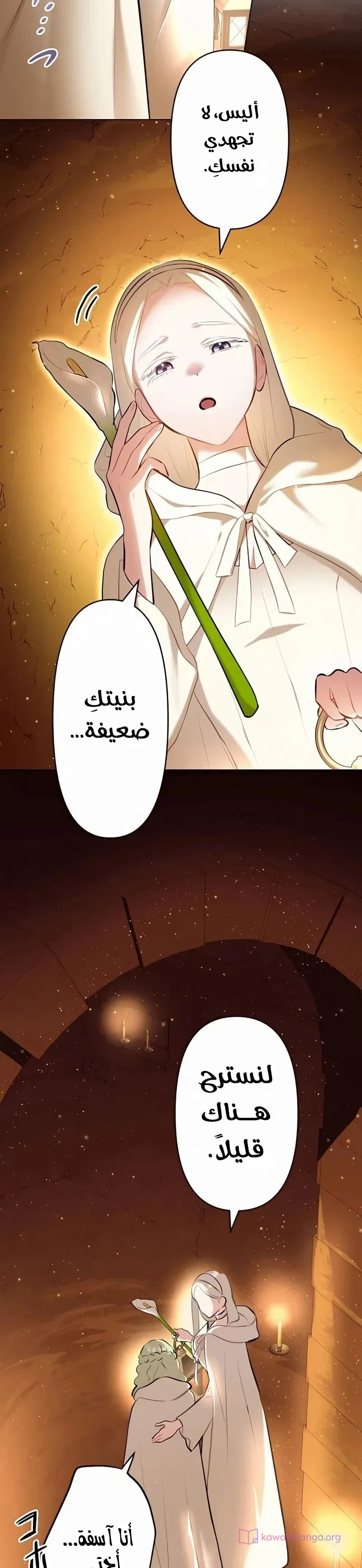 الصفحة 24