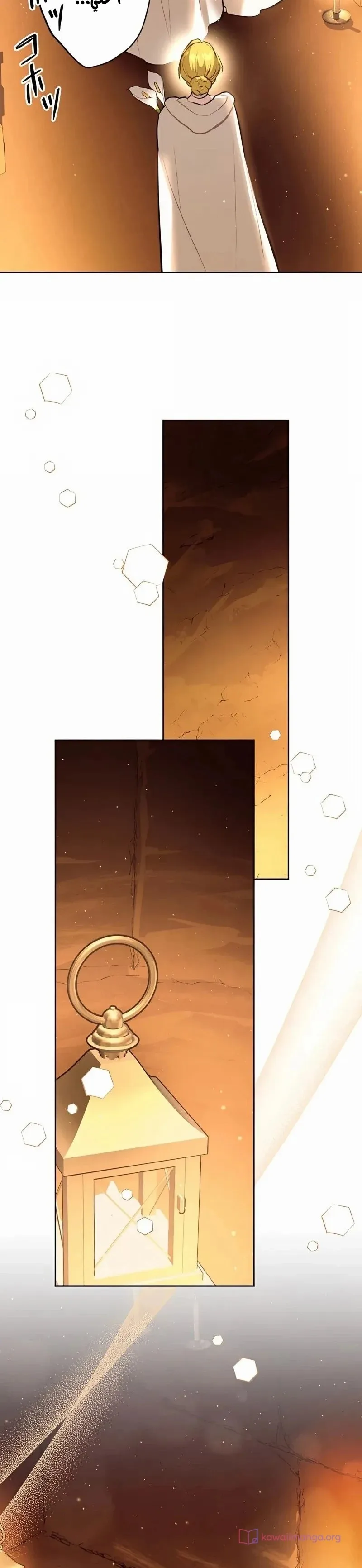 الصفحة 25