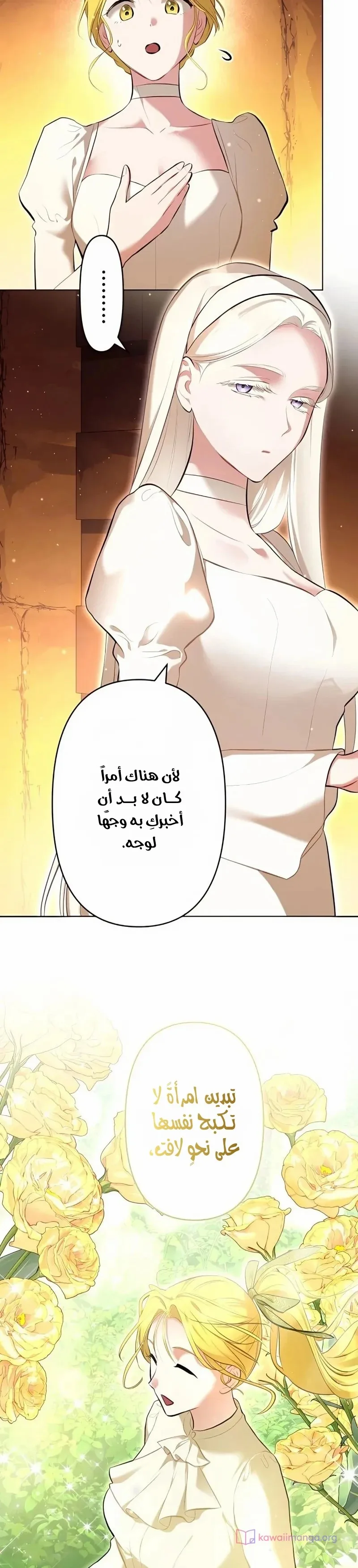الصفحة 29
