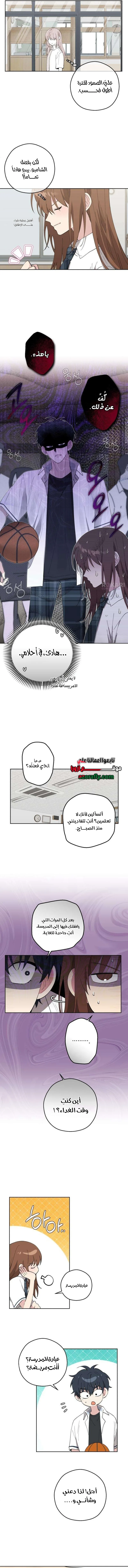 الصفحة 3
