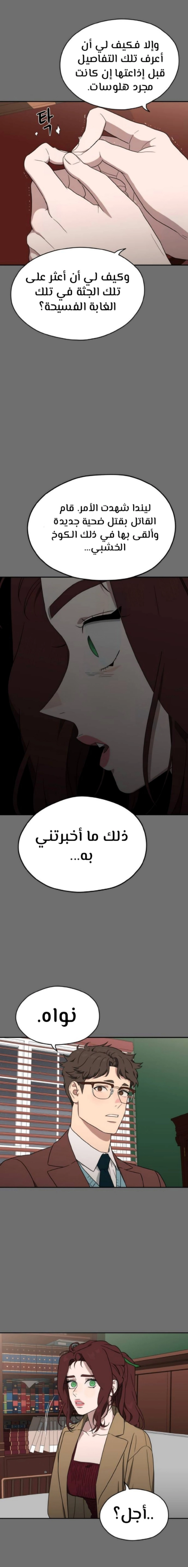 الصفحة 13