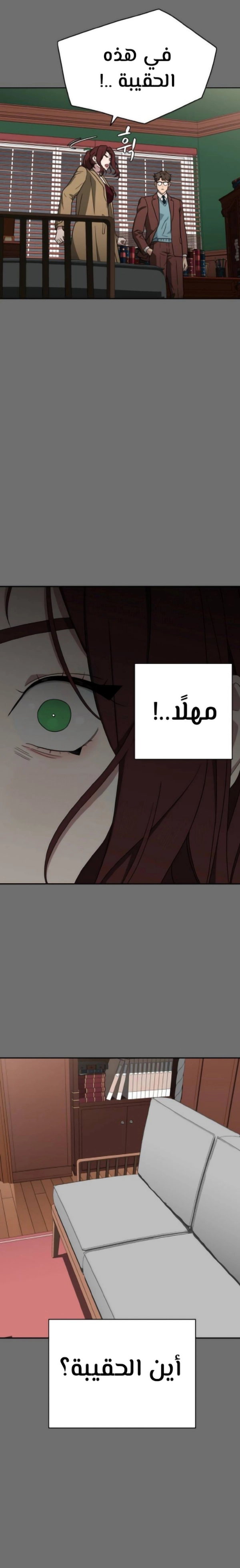 الصفحة 17
