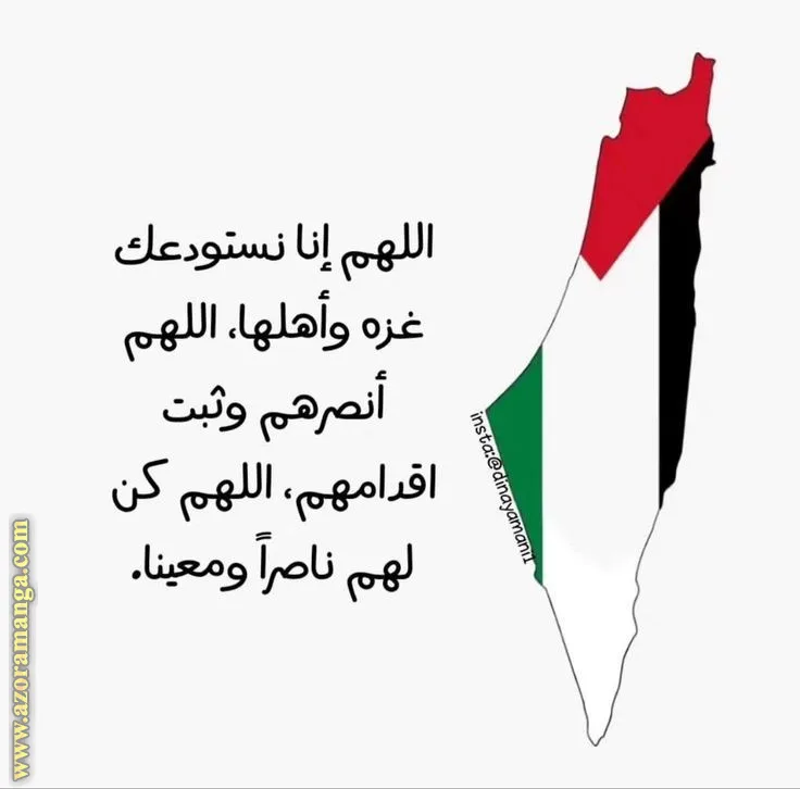 الصفحة 12