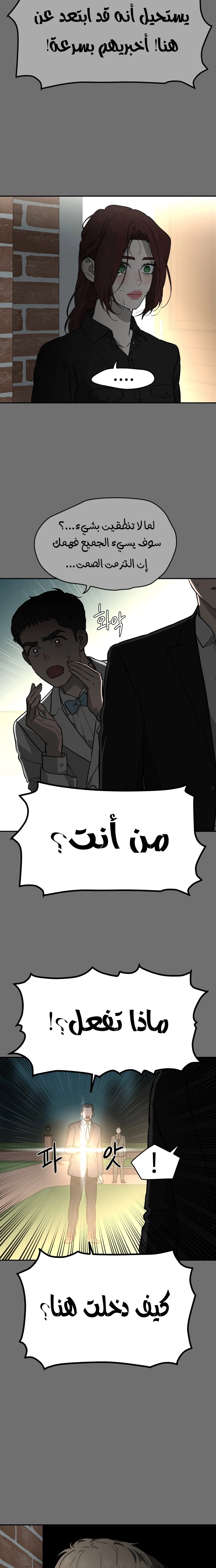 الصفحة 13
