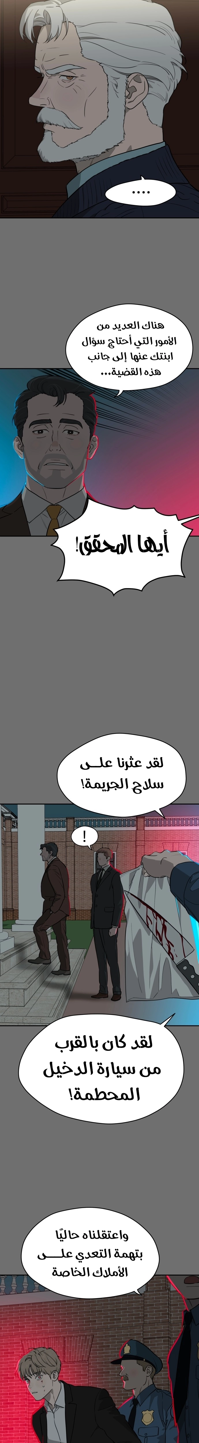 الصفحة 17