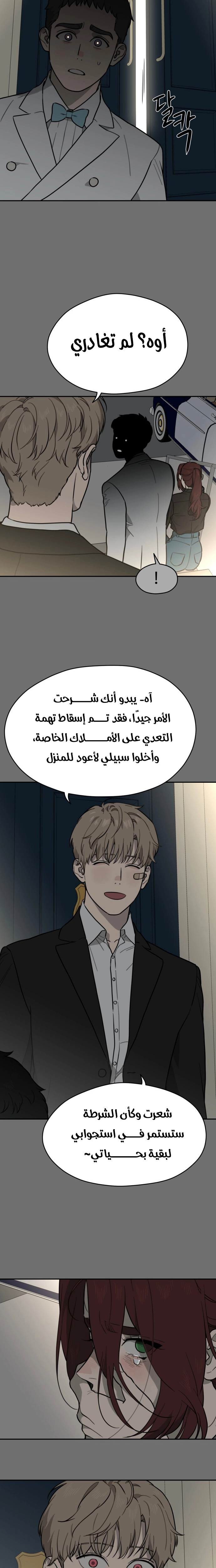 الصفحة 14