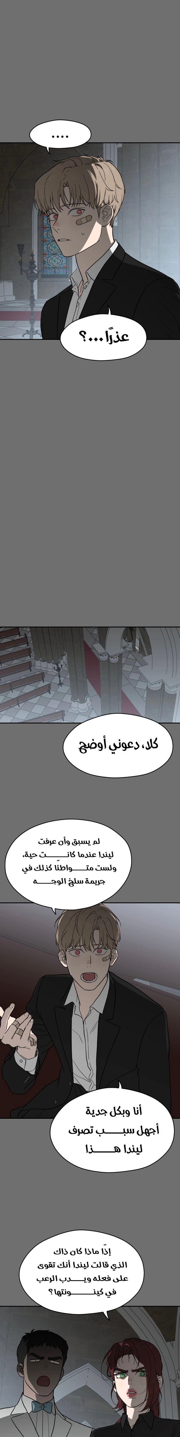 الصفحة 13