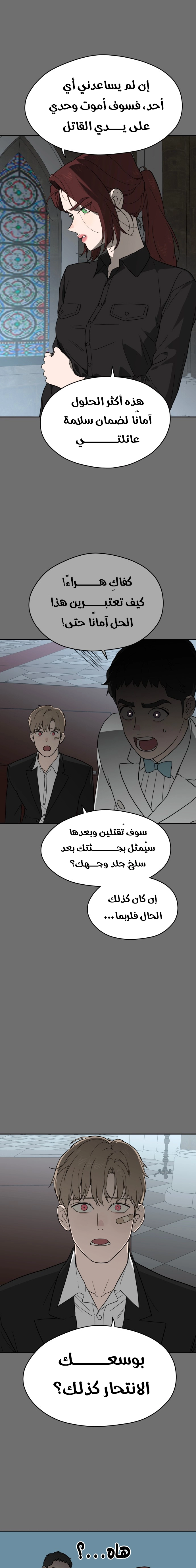 الصفحة 17