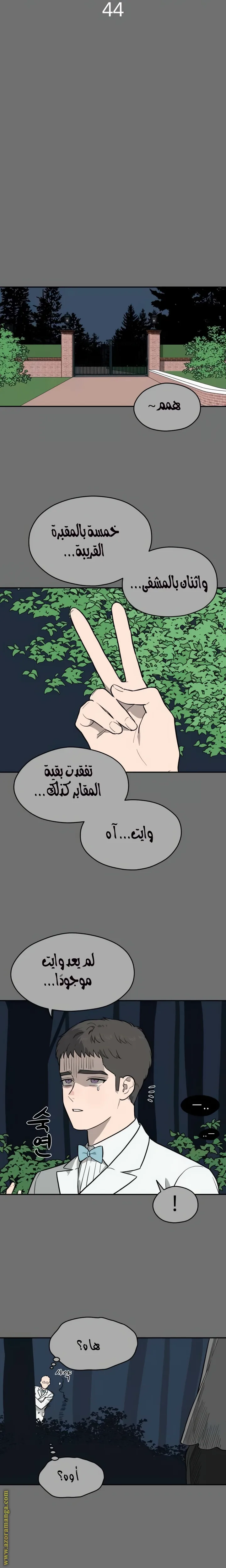 الصفحة 19