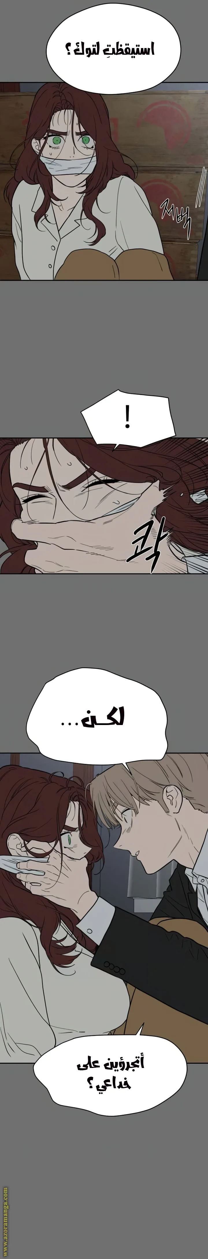 الصفحة 12