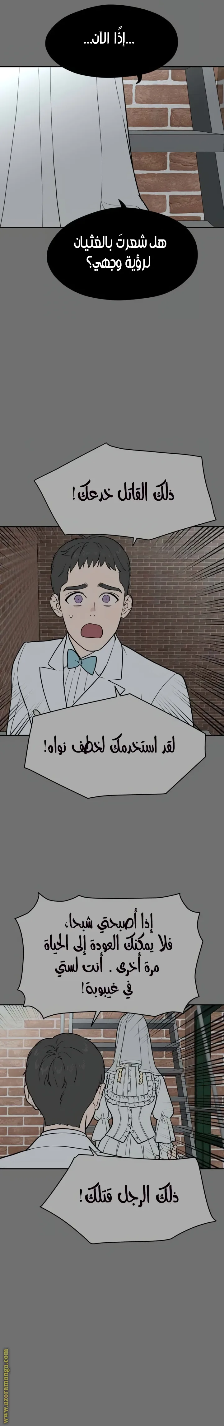 الصفحة 19