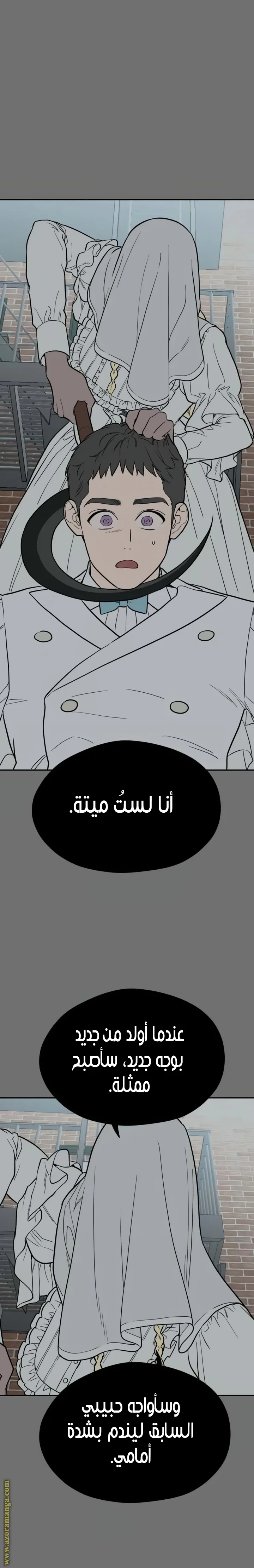 الصفحة 25