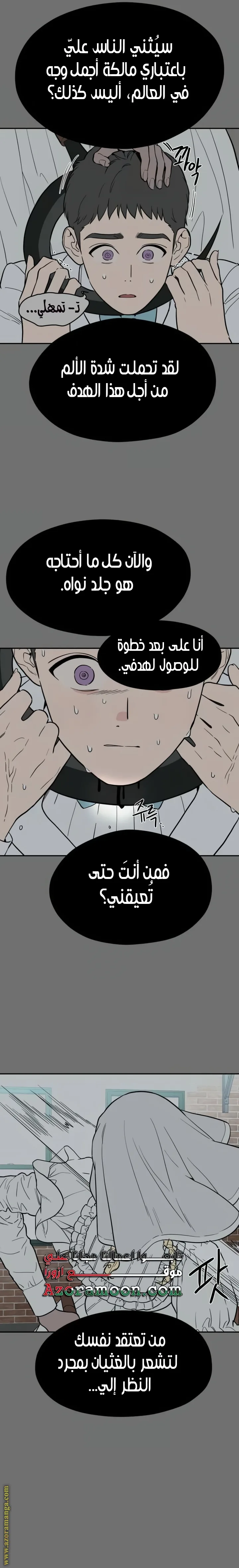 الصفحة 26