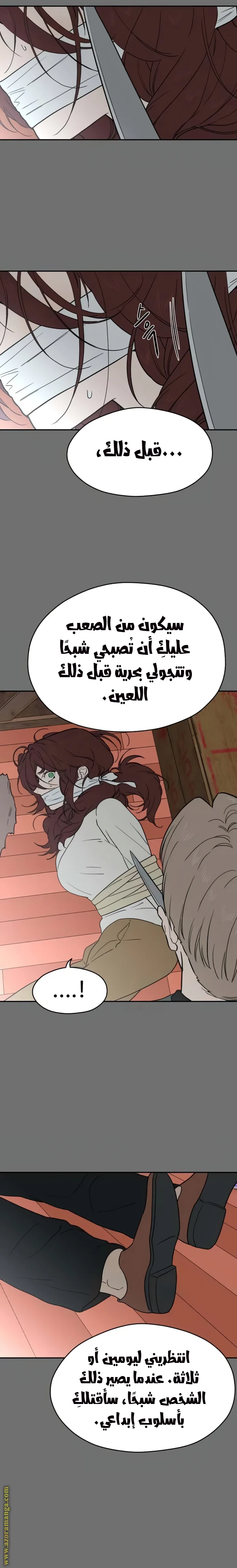 الصفحة 28