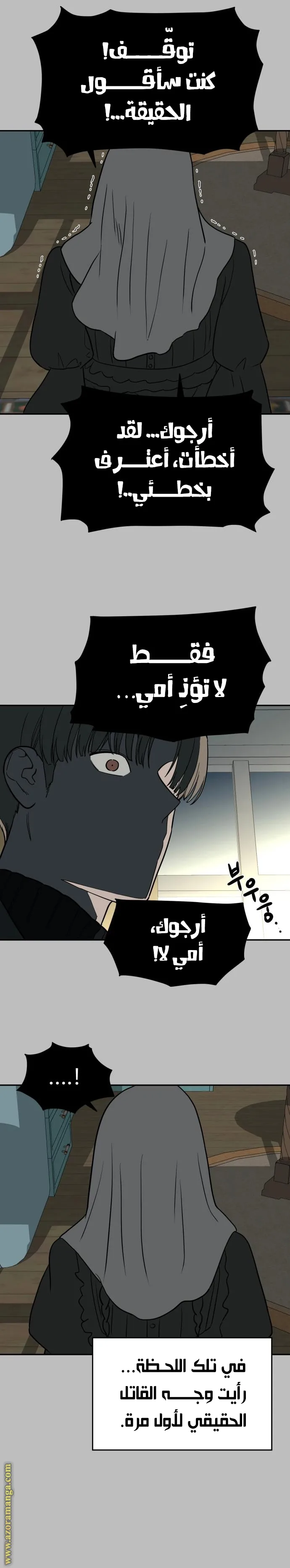 الصفحة 17