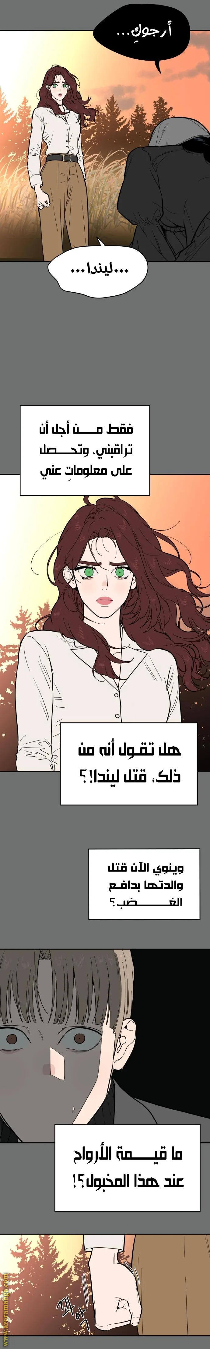 الصفحة 24