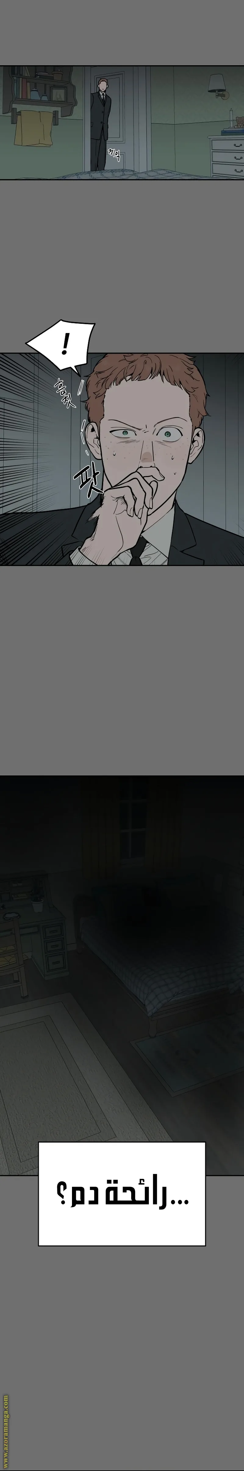 الصفحة 27