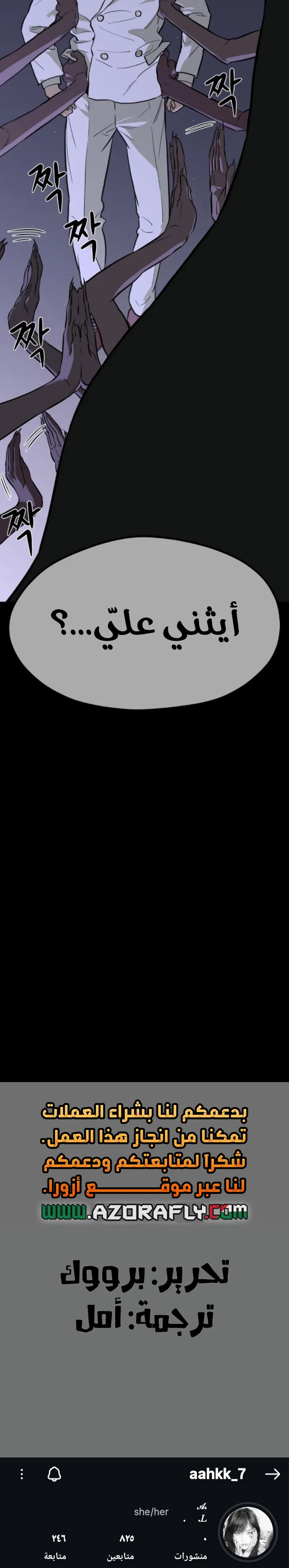 الصفحة 13