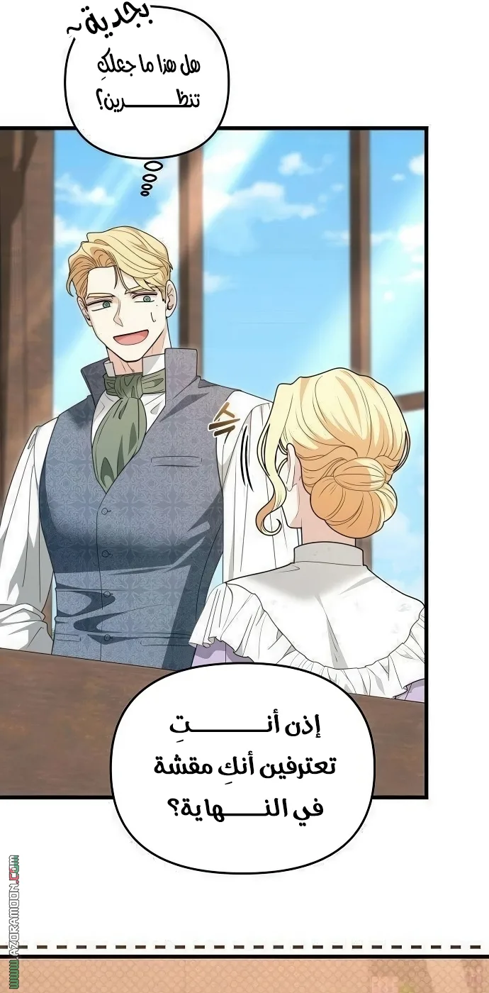 الصفحة 27