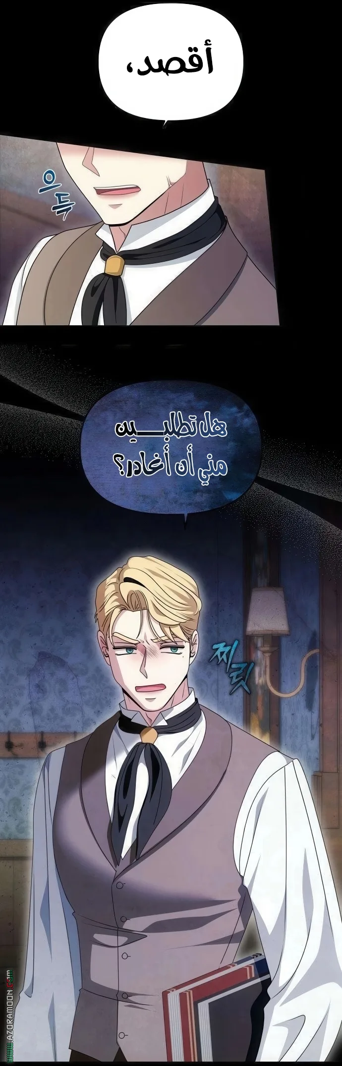 الصفحة 43