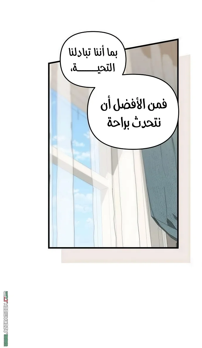 الصفحة 27