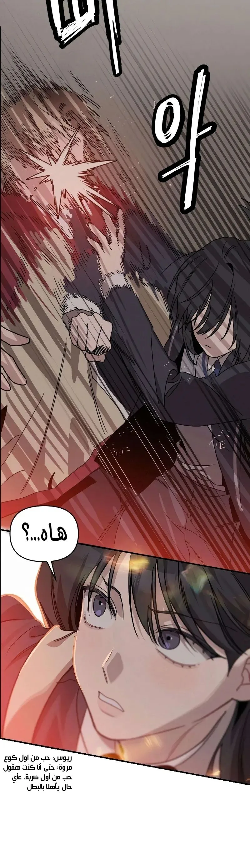 الصفحة 27