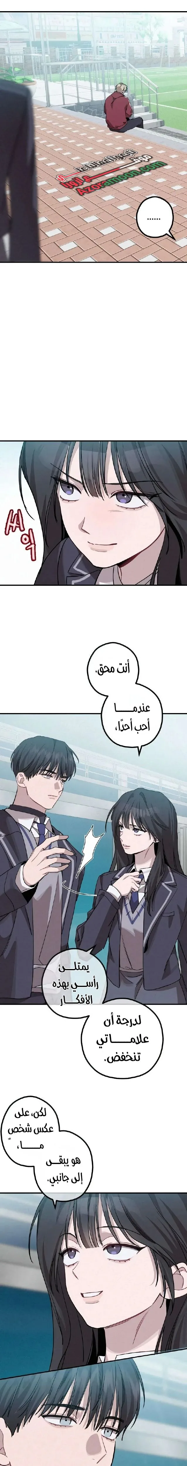 الصفحة 17
