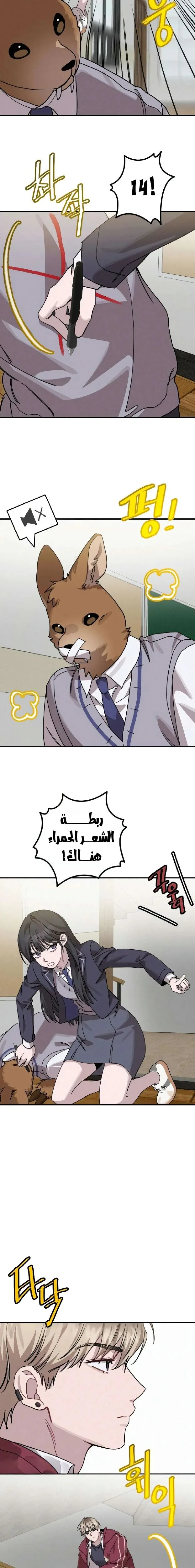 الصفحة 26