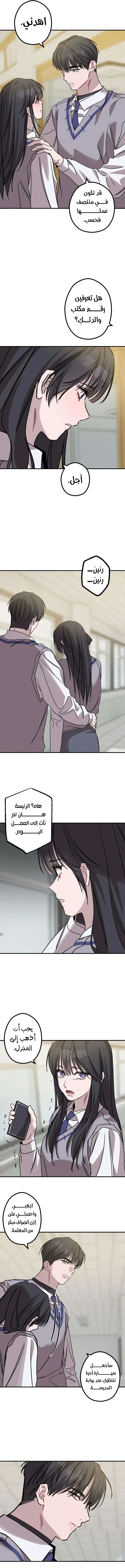 الصفحة 11