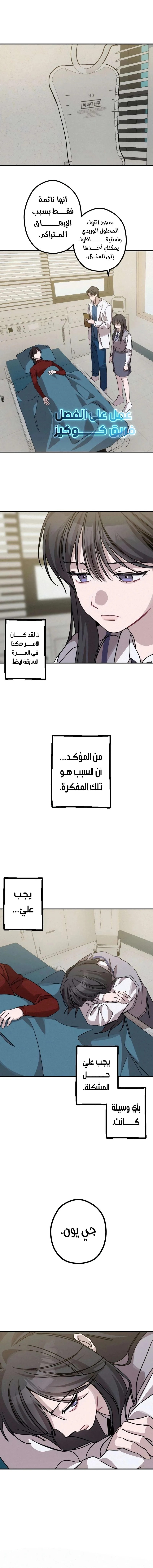 الصفحة 13