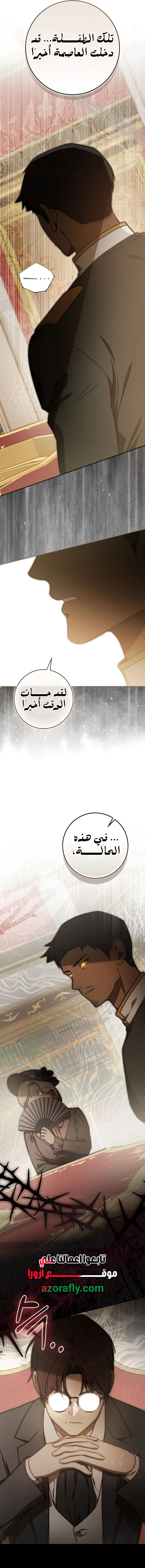 الصفحة 17