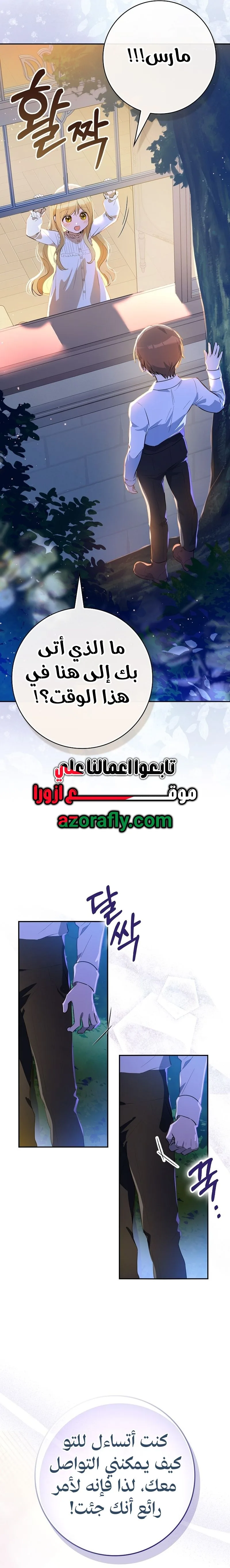 الصفحة 17