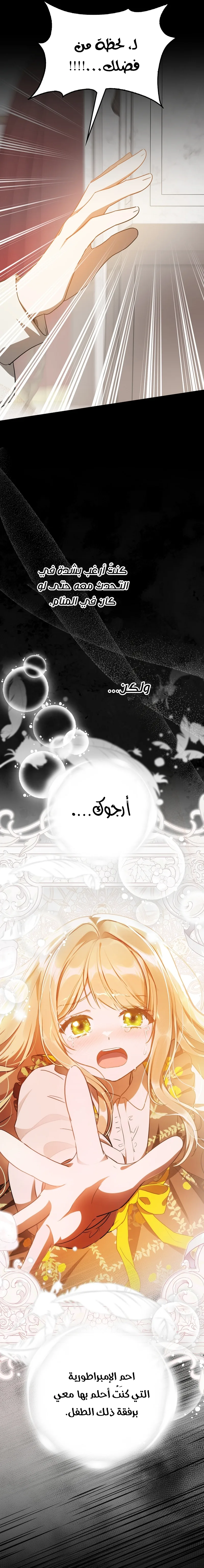 الصفحة 20