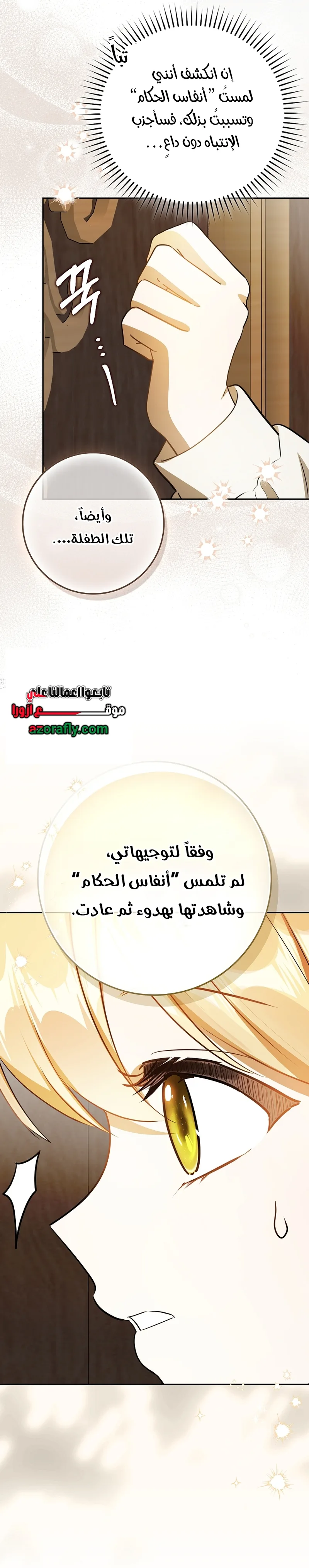 الصفحة 27