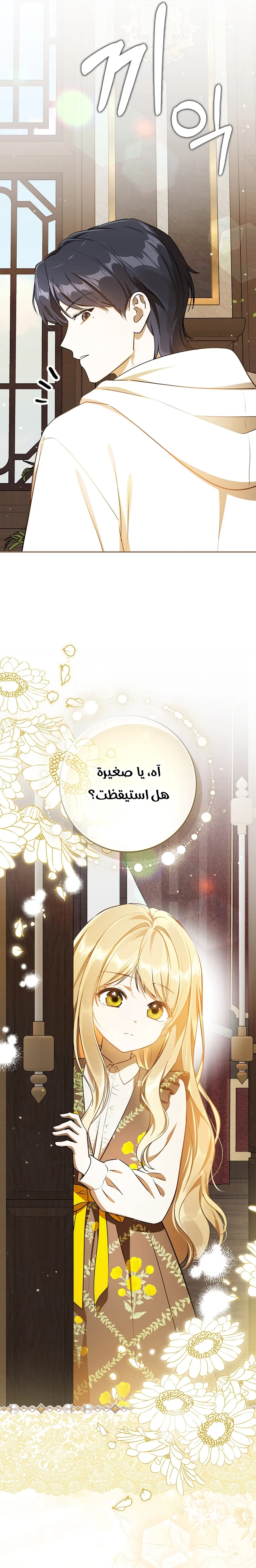 الصفحة 29