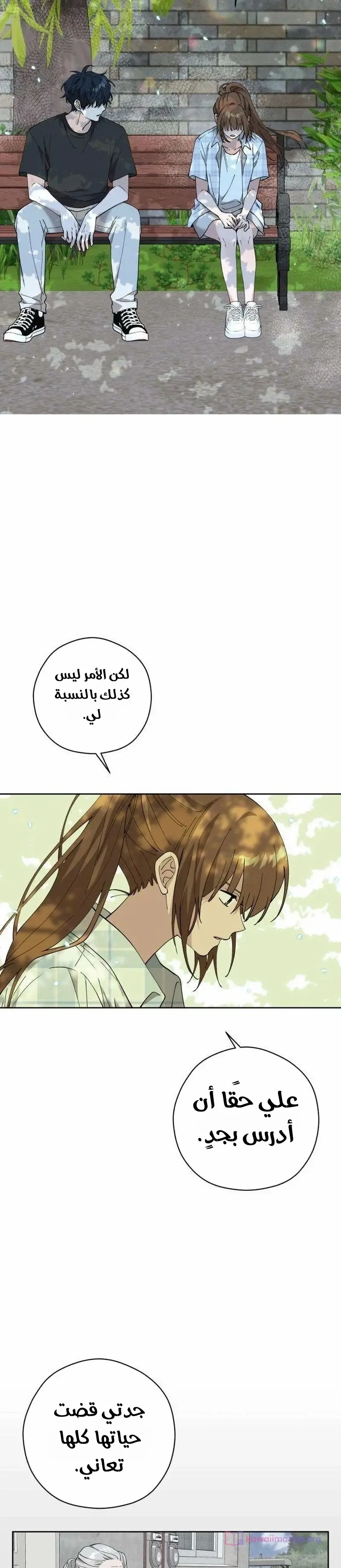 الصفحة 12