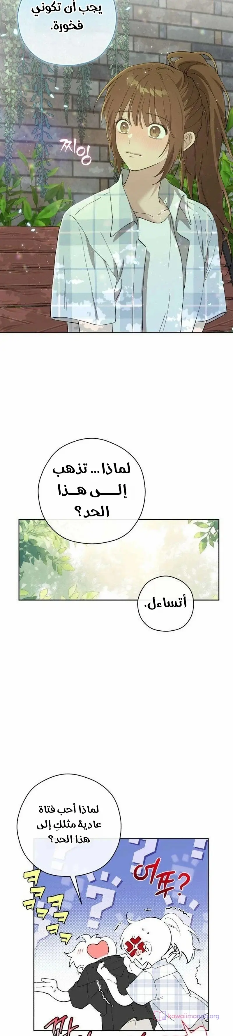 الصفحة 17