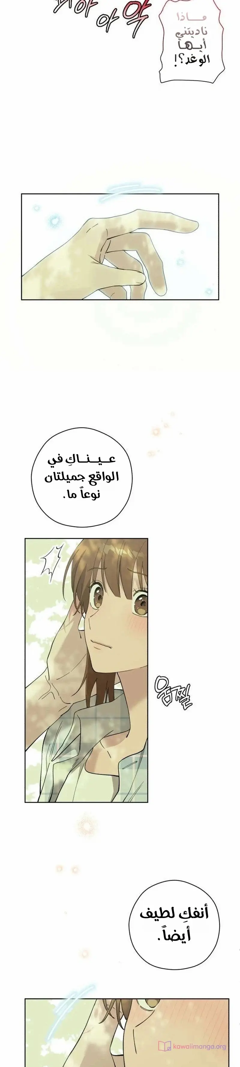 الصفحة 18