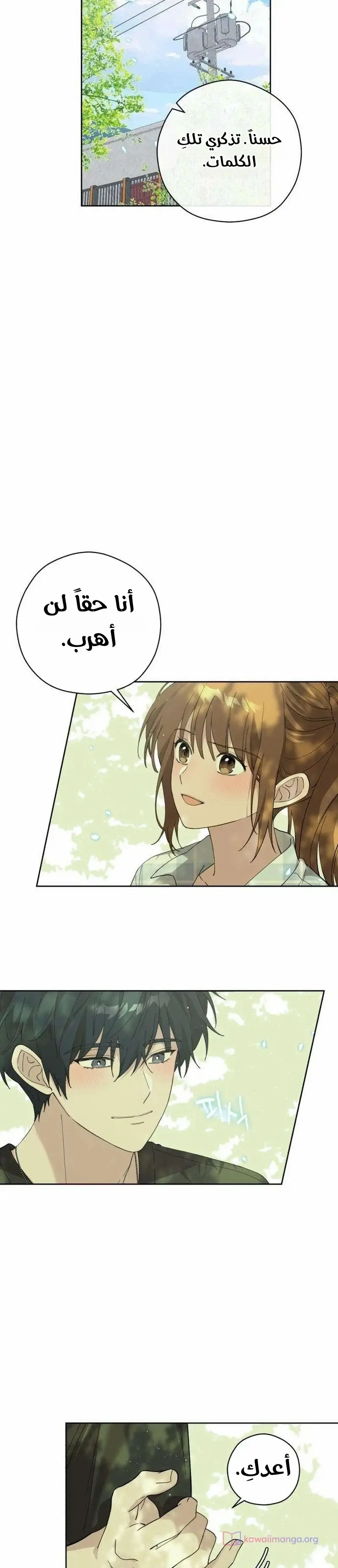 الصفحة 22