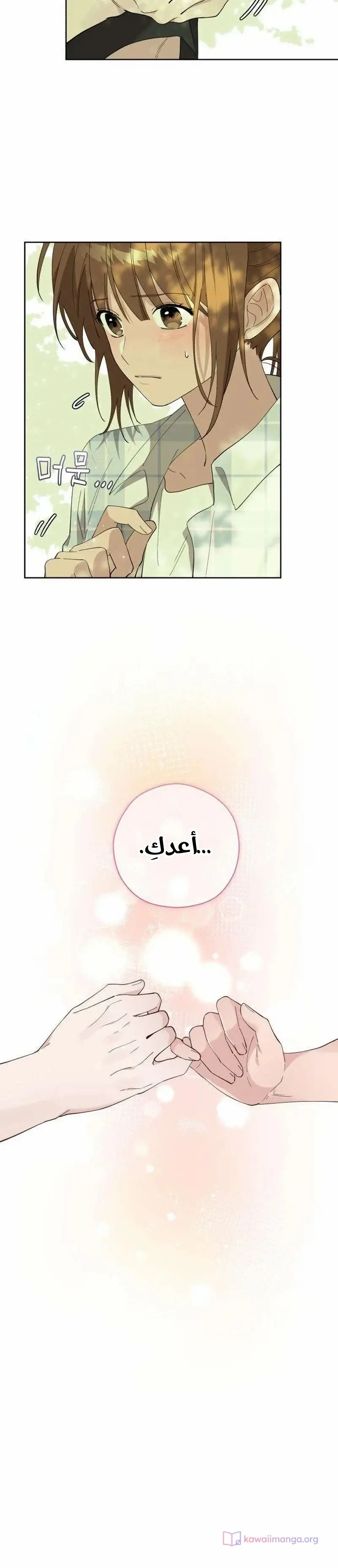 الصفحة 23