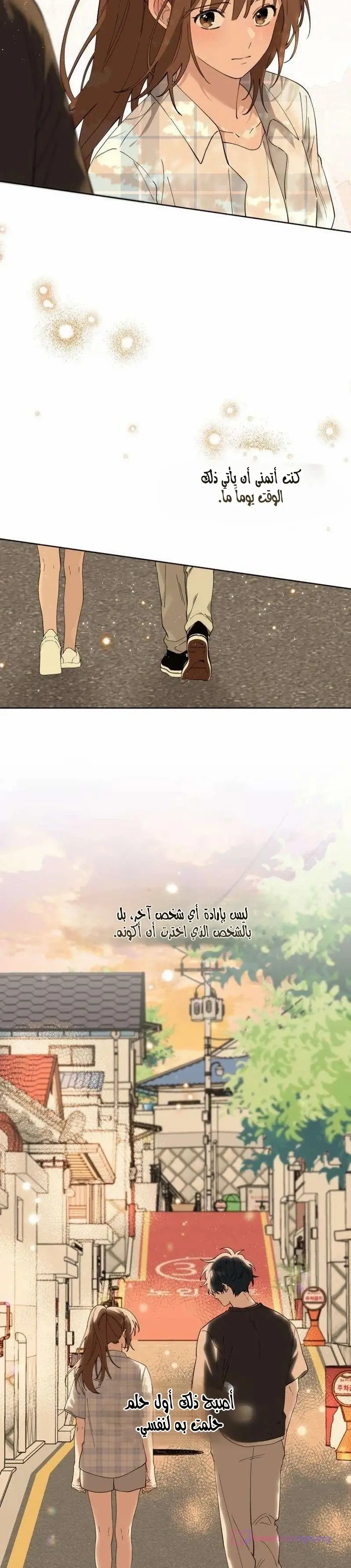 الصفحة 26