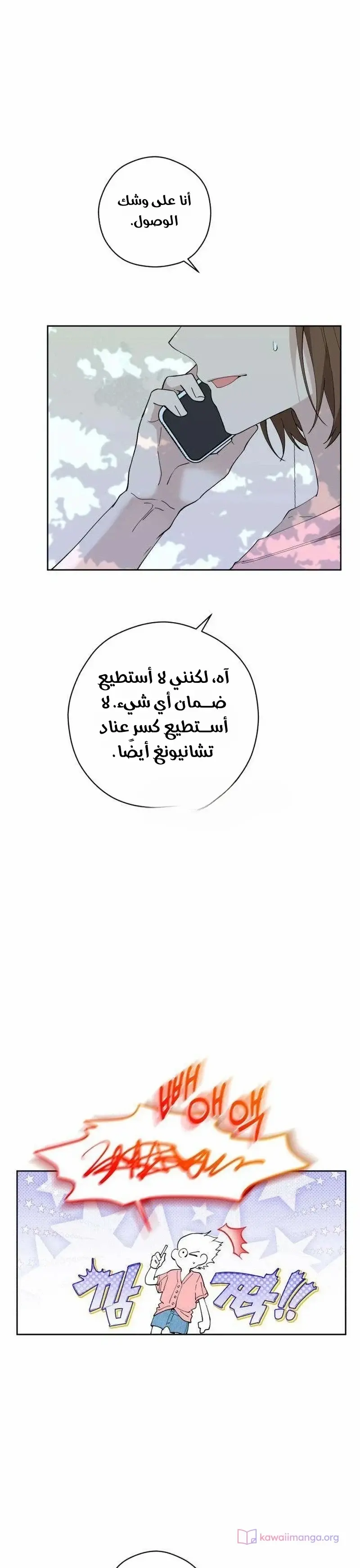 الصفحة 30