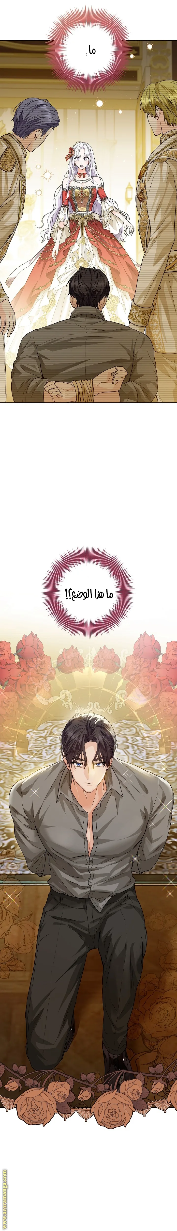 الصفحة 28