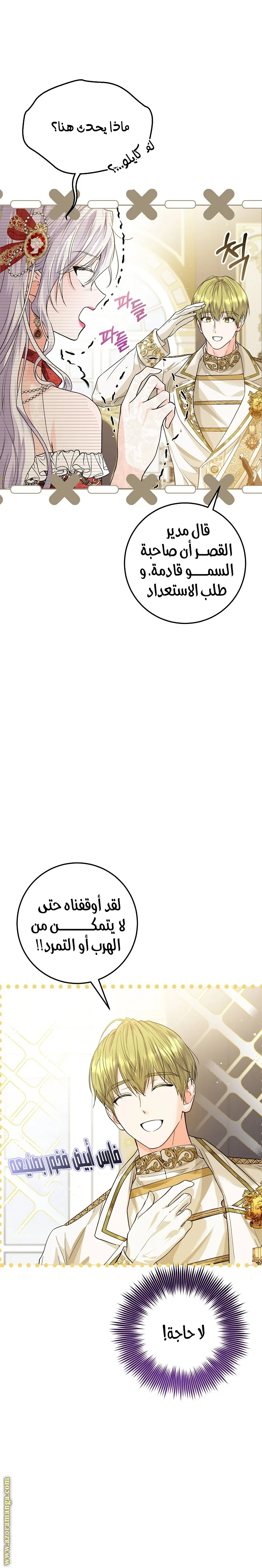 الصفحة 29