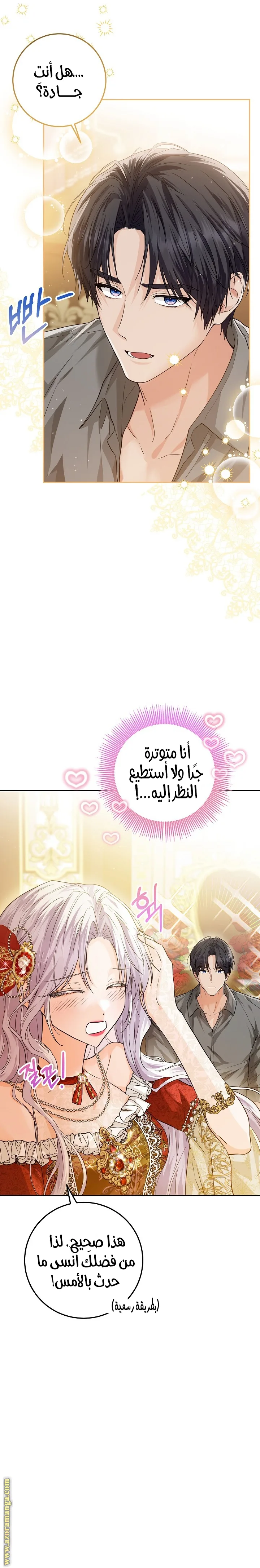 الصفحة 3