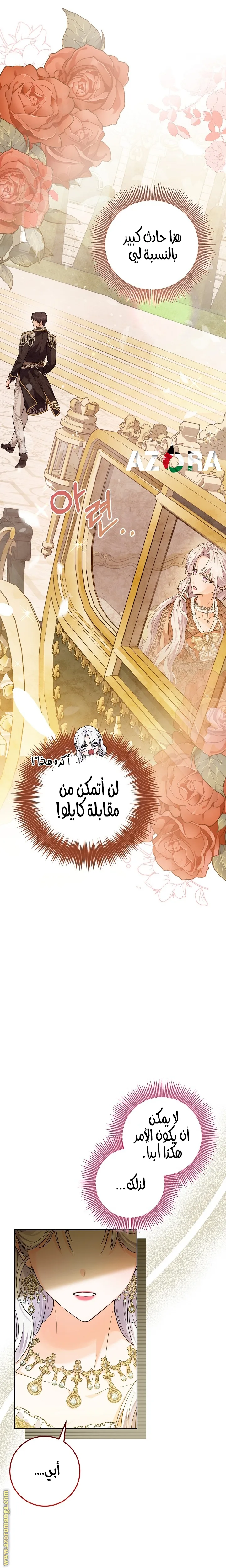 الصفحة 24