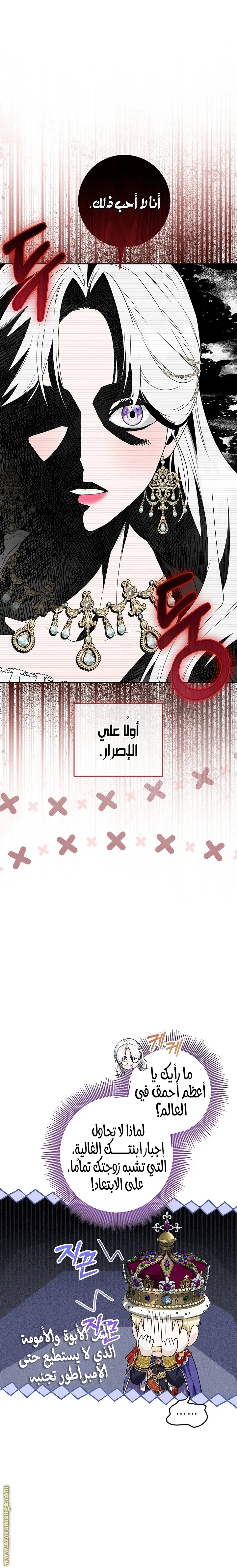 الصفحة 25