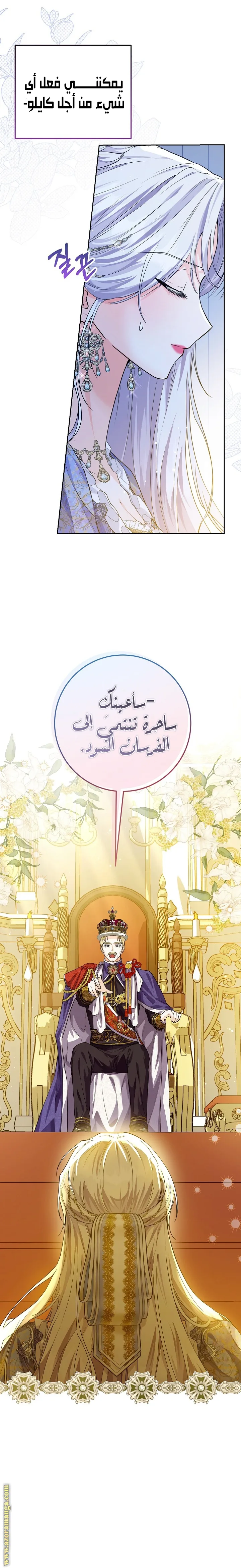الصفحة 27