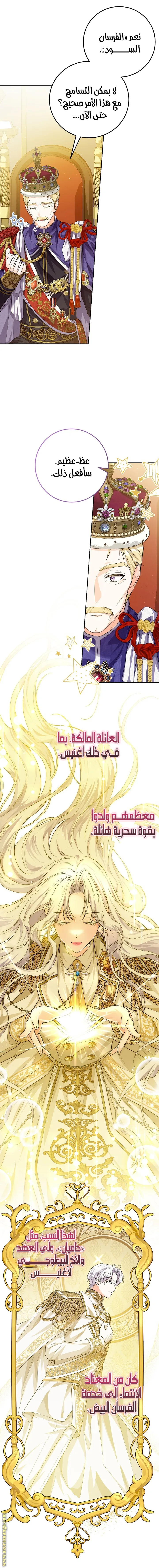 الصفحة 29